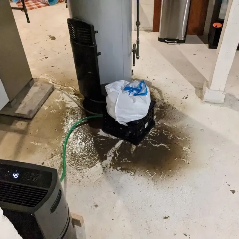 Sewage Backup Cleanup Service in Marlow Heights, MD